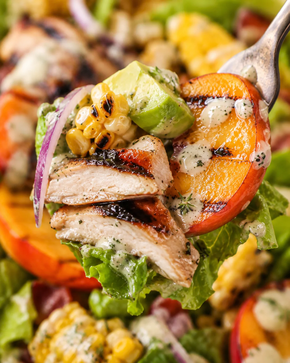 Close-up of fresh salad with grilled chicken, peaches, corn, and creamy dressing