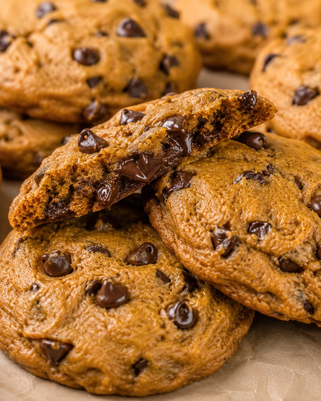 Close-up of freshly baked soft pumpkin chocolate chip cookies with melting chocolate chips.