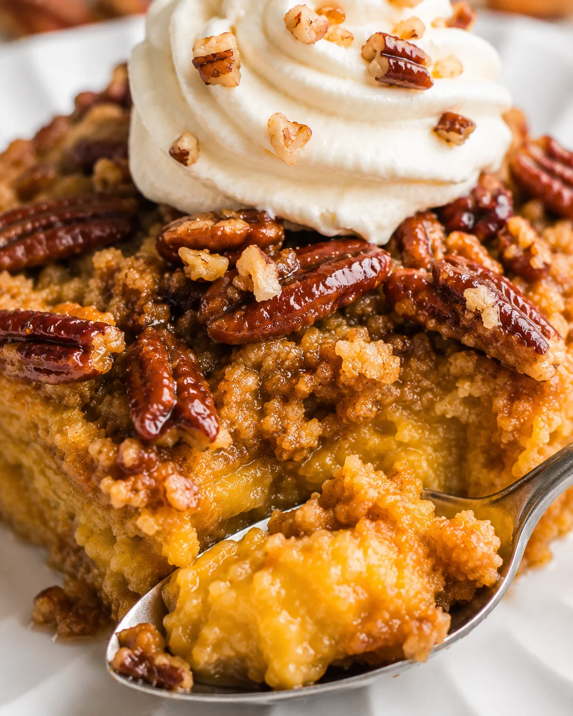 Delicious pumpkin crunch cake topped with whipped cream and pecans, ready to serve.