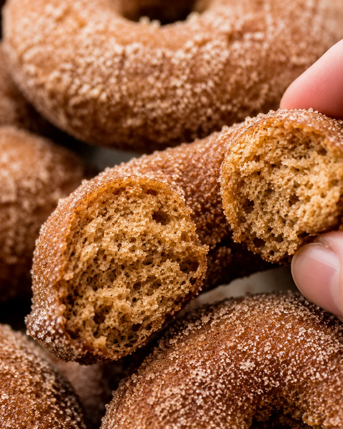Close-up of soft, dense baked apple cider donuts with cinnamon-sugar coating