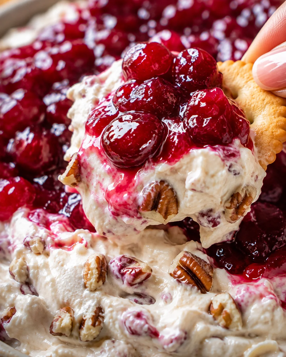 Cracker scooping cranberry cream cheese dip topped with whole cranberries and visible pecans