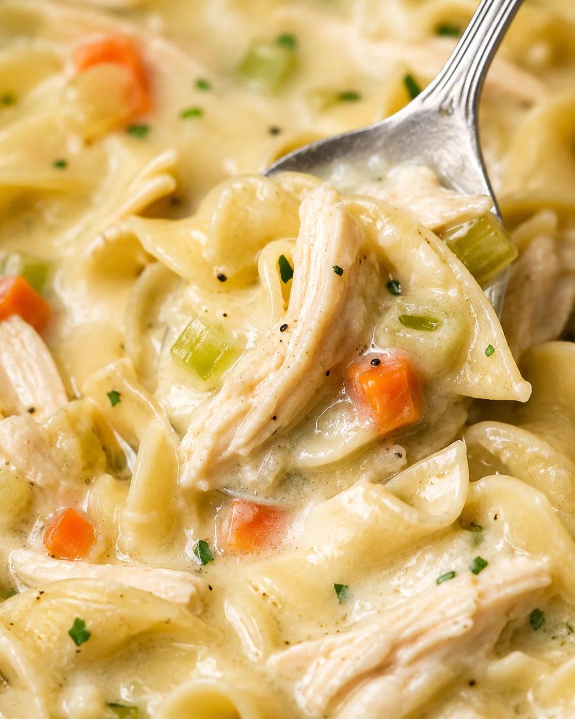 Close detail of creamy chicken noodle soup showing shredded chicken, egg noodles and vegetables in glossy broth