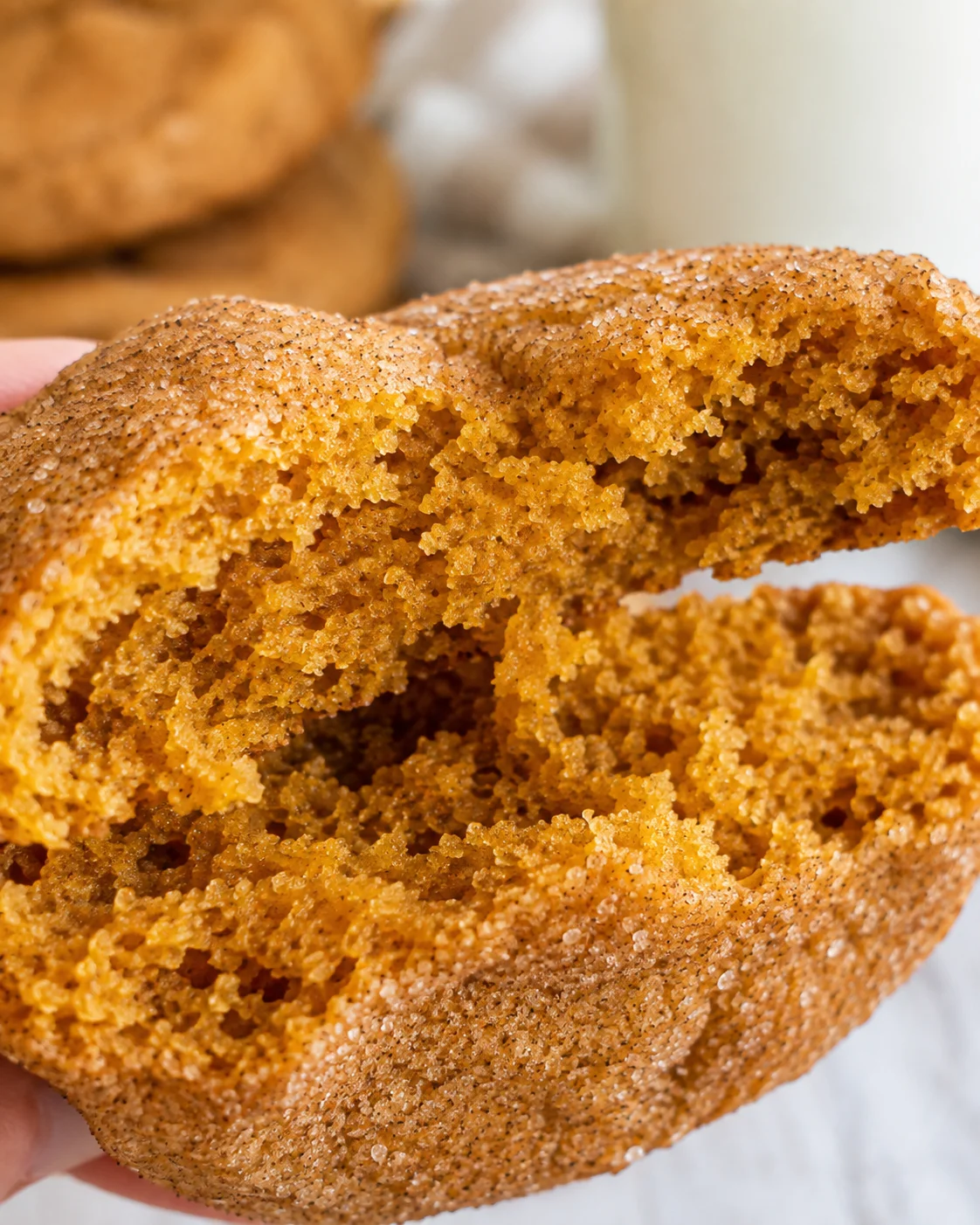 Close-up of soft, chewy pumpkin snickerdoodle cookie with cinnamon sugar coating