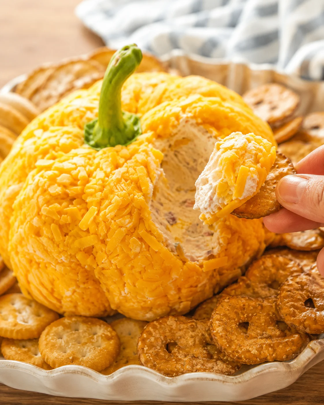 Pumpkin cheese ball with a wedge scooped out and a cracker lifting a bite