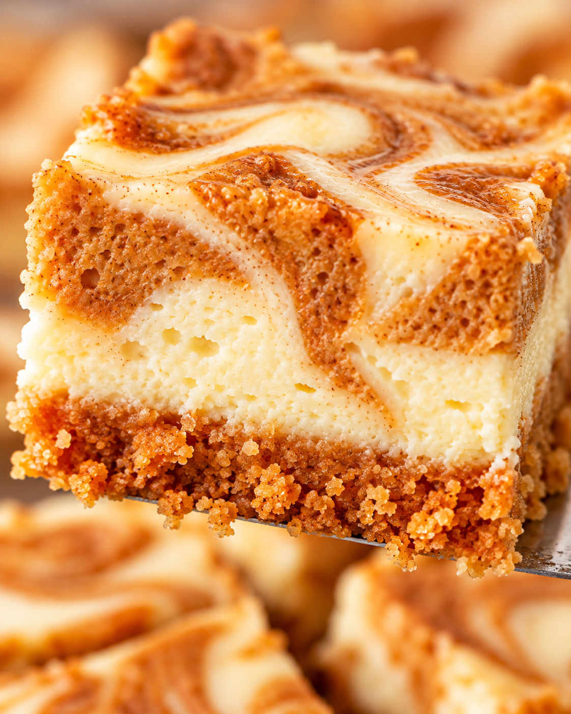 Pumpkin Cheesecake Bars texture