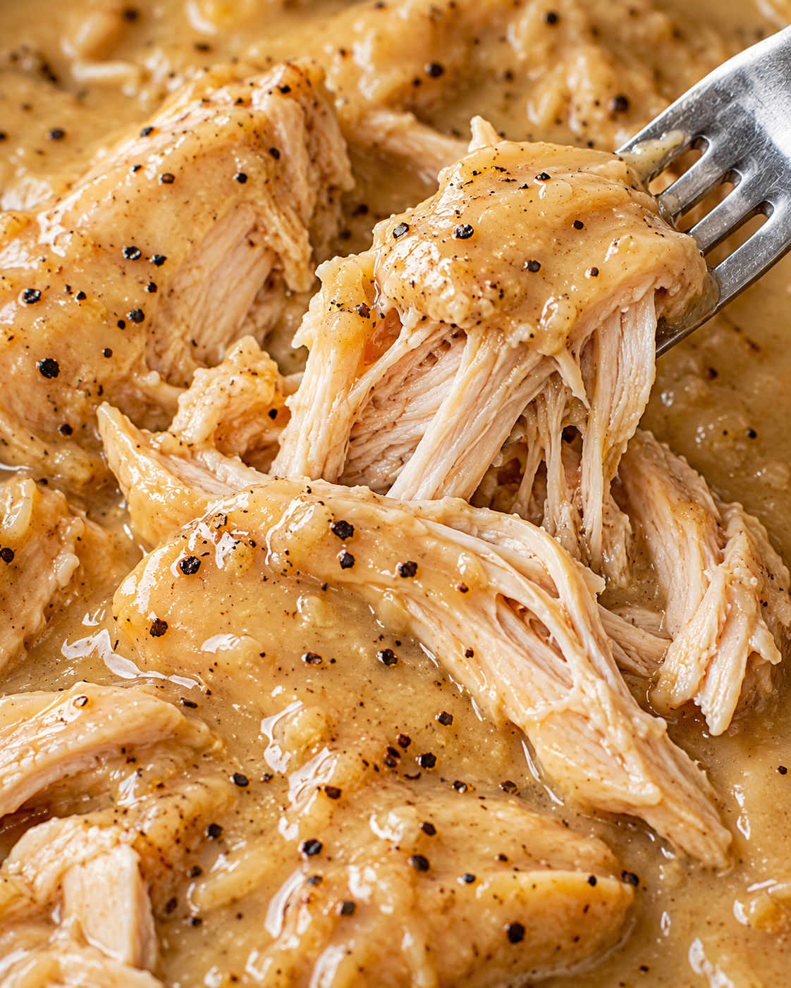 Slow Cooker Chicken with Creamy Gravy texture
